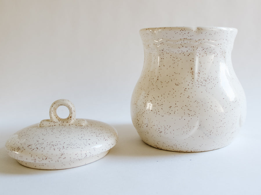 Pair of Speckled Botanical Canisters